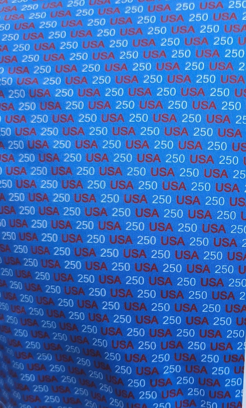 Mens USA250 Blue Polo